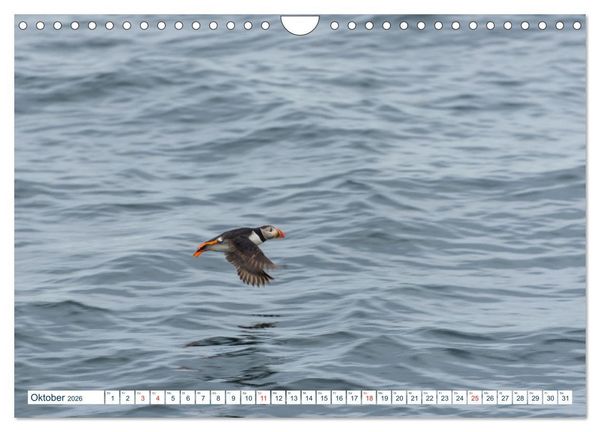Produktbild: Lofoten Vester&aring;len (Wandkalender 2026 DIN A4 quer), CALVENDO Monatskalender
