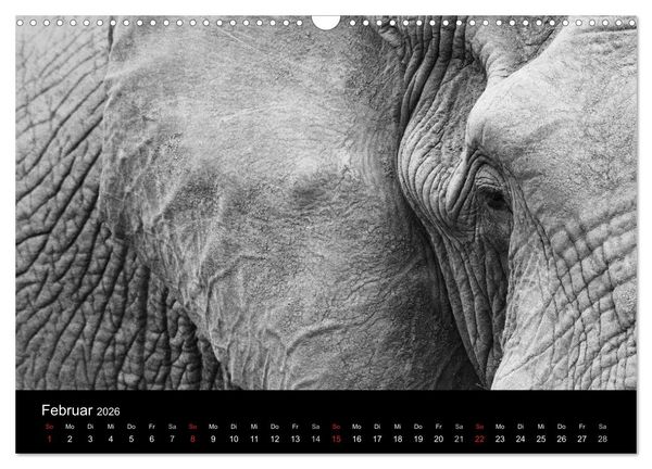 Produktbild: Elefanten Schwarz - Weiss (Wandkalender 2026 DIN A3 quer), CALVENDO Monatskalender