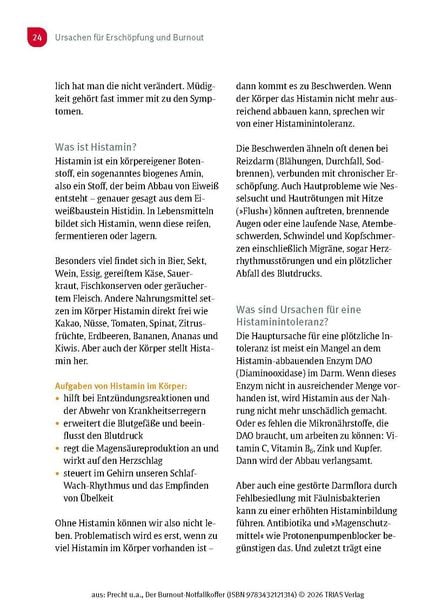 Produktbild: Der Burnout-Notfallkoffer