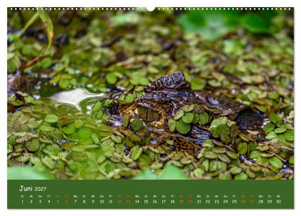 Produktbild: Costa Rica - Naturparadies zwischen Karibik und Pazifik (Wandkalender 2027 DIN A2 quer), CALVENDO Monatskalender