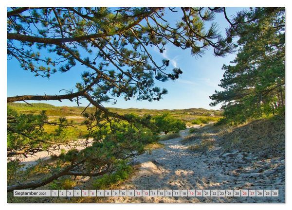 Produktbild: Ungew&ouml;hnliches Nordholland (Wandkalender 2026 DIN A4 quer), CALVENDO Monatskalender