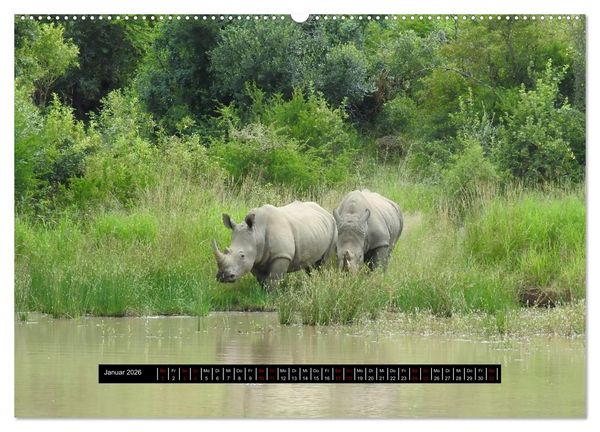 Produktbild: Afrika - Vielfalt in Flora und Fauna (Wandkalender 2026 DIN A2 quer), CALVENDO Monatskalender