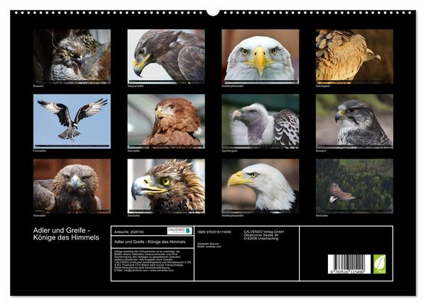 Produktbild: Adler und Greife - K&ouml;nige des Himmels (hochwertiger Premium Wandkalender 2026 DIN A2 quer), Kunstdruck in Hochglanz