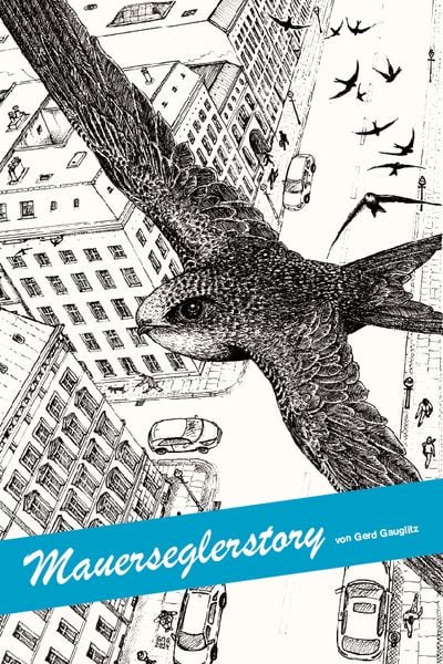 Produktbild: Mauerseglerstory