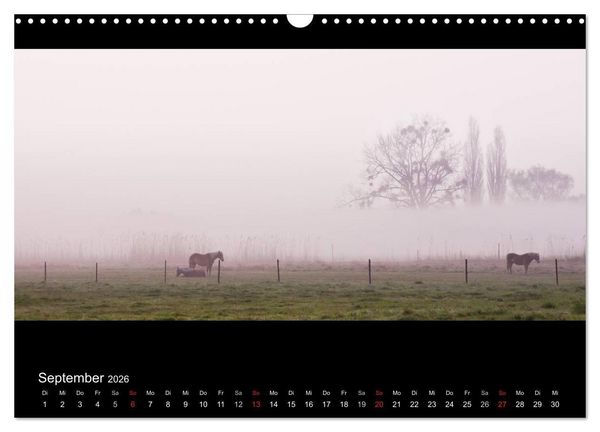 Produktbild: NEBEL (Wandkalender 2026 DIN A3 quer), CALVENDO Monatskalender