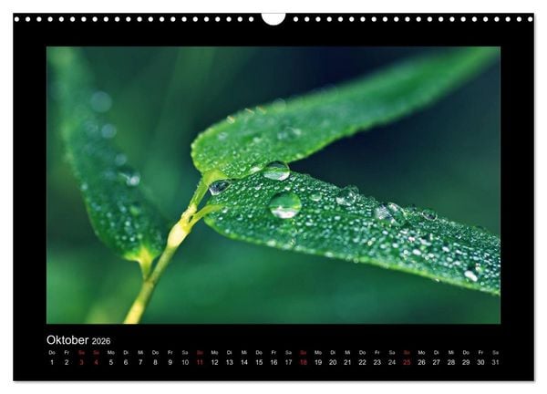Produktbild: Meine kleine gr&uuml;ne Wassertropfen Welt (Wandkalender 2026 DIN A3 quer), CALVENDO Monatskalender
