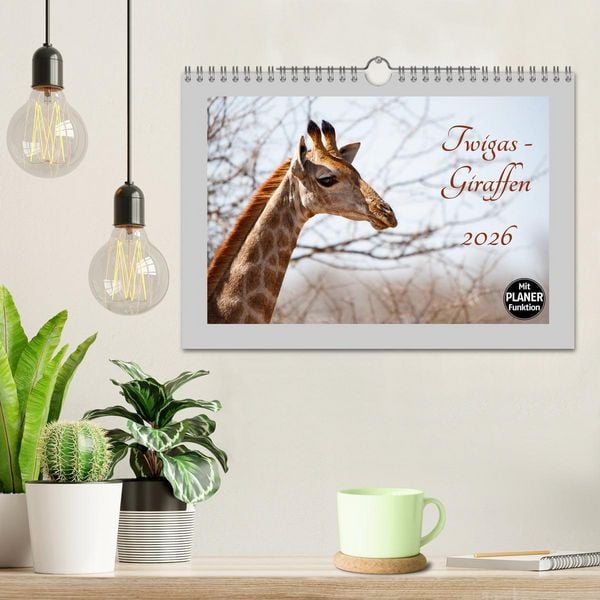 Produktbild: Twigas - Giraffen (Wandkalender 2026 DIN A4 quer), CALVENDO Monatskalender