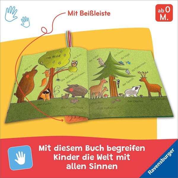 Produktbild: Mein Knuddel-Knautsch-Buch: flip&pop. Meine Tiere