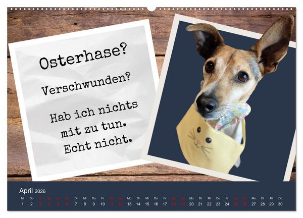 Produktbild: Ratonero Bodeguero Andaluz (Wandkalender 2026 DIN A2 quer), CALVENDO Monatskalender