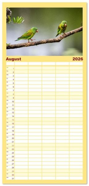 Produktbild: Familienplaner 2026 - Phantastische Vogelwelt Costa Rica mit 5 Spalten (Wandkalender, 21 x 45 cm) CALVENDO