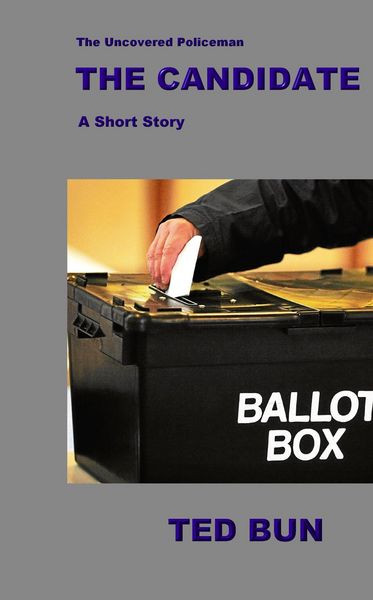 Produktbild: The Candidate (Rags to Riches, #19)