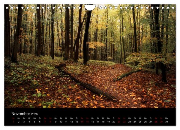 Produktbild: Wundersame Natur in Deutschland (Wandkalender 2026 DIN A4 quer), CALVENDO Monatskalender