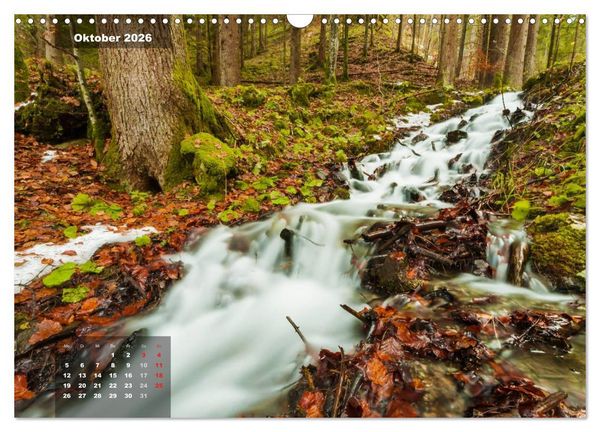 Produktbild: Zauberhafte Waldlandschaften (Wandkalender 2026 DIN A3 quer), CALVENDO Monatskalender