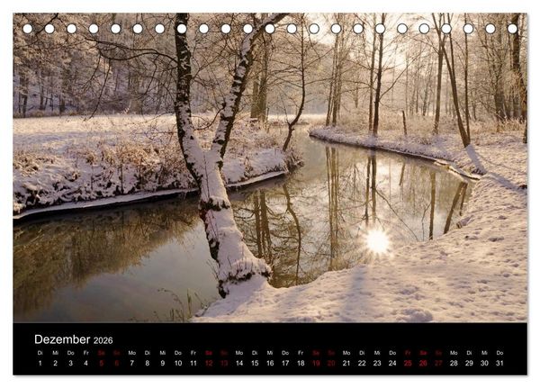 Produktbild: Der Waldspaziergang (Tischkalender 2026 DIN A5 quer), CALVENDO Monatskalender