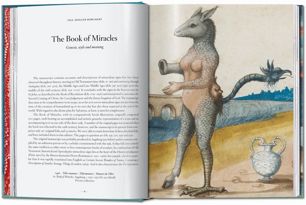 Produktbild: The Book of Miracles