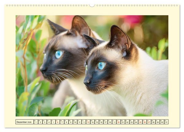 Produktbild: Edle Siamkatzen. Anmut und Charakter im Spiel mit der Natur (Wandkalender 2026 DIN A2 quer), CALVENDO Monatskalender