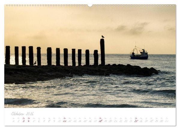 Produktbild: Zeeland (Wandkalender 2026 DIN A2 quer), CALVENDO Monatskalender