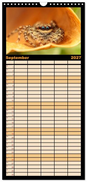 Produktbild: Familienplaner 2027 - Verborgene Wunder mit 5 Spalten (Wandkalender, 21 x 45 cm) CALVENDO
