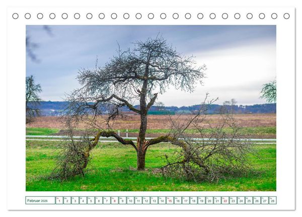 Produktbild: Gottmadingen im Hegau (Tischkalender 2026 DIN A5 quer), CALVENDO Monatskalender
