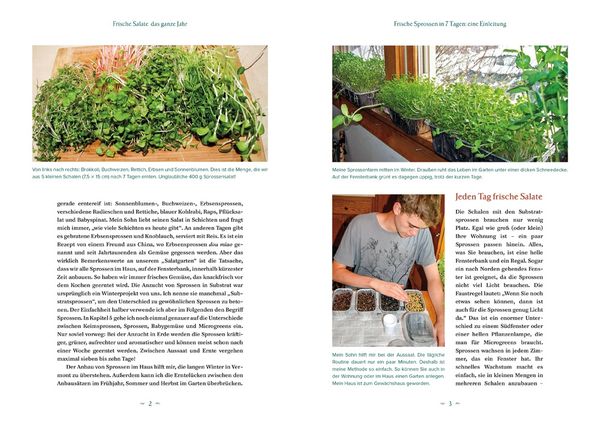 Produktbild: Der Salatgarten f&uuml;r zuhause