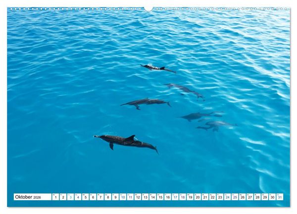 Produktbild: MALEDIVEN Wunderwelt (hochwertiger Premium Wandkalender 2026 DIN A2 quer), Kunstdruck in Hochglanz