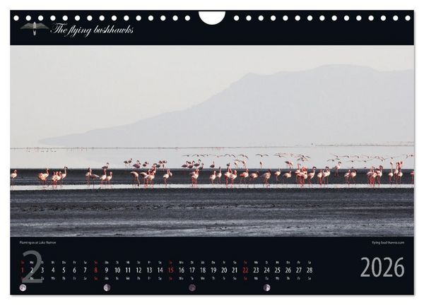 Produktbild: Tansania Blickwinkel 2026 (Wandkalender 2026 DIN A4 quer), CALVENDO Monatskalender