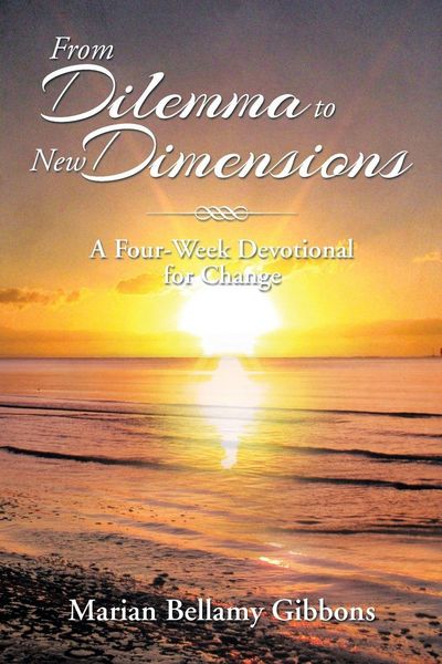Produktbild: From Dilemma to New Dimensions