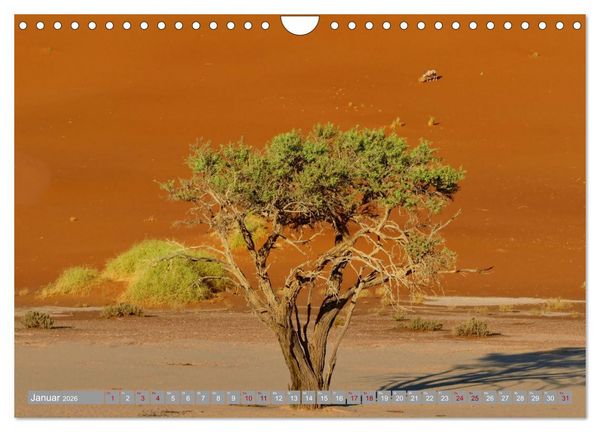 Produktbild: Namibia &ndash; Auf dem Weg ins Sossusvlei (Wandkalender 2026 DIN A4 quer), CALVENDO Monatskalender