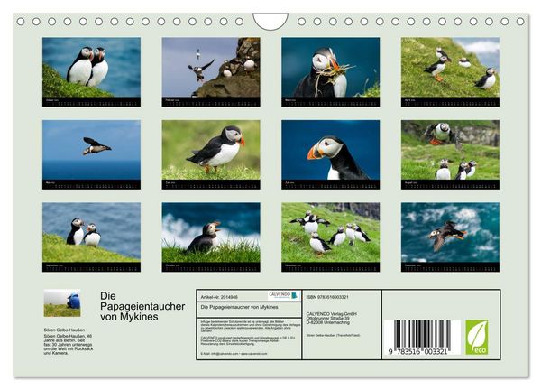 Produktbild: Die Papageientaucher von Mykines (Wandkalender 2026 DIN A4 quer), CALVENDO Monatskalender