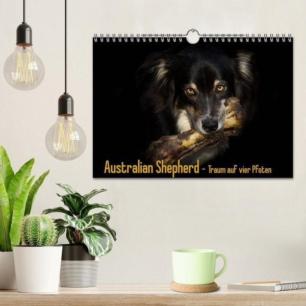 Produktbild: Australian Shepherd - Traum auf vier Pfoten (Wandkalender 2027 DIN A4 quer), CALVENDO Monatskalender