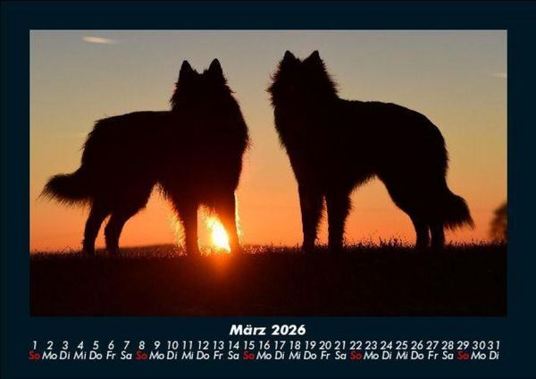 Produktbild: Sonnenuntergang 2026 Fotokalender DIN A5