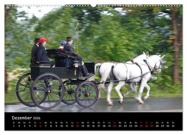 Produktbild: CIAT - Historischer Fahrsport in Celle (Wandkalender 2026 DIN A2 quer), CALVENDO Monatskalender