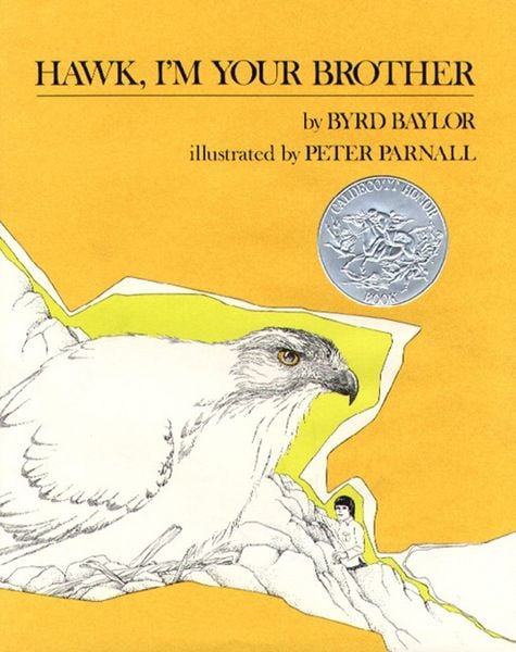 Produktbild: Hawk, I'm Your Brother