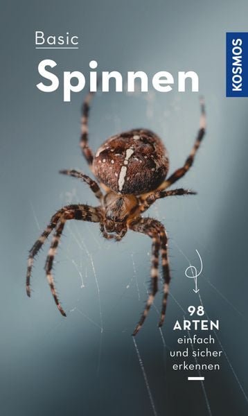 Produktbild: Basic Spinnen