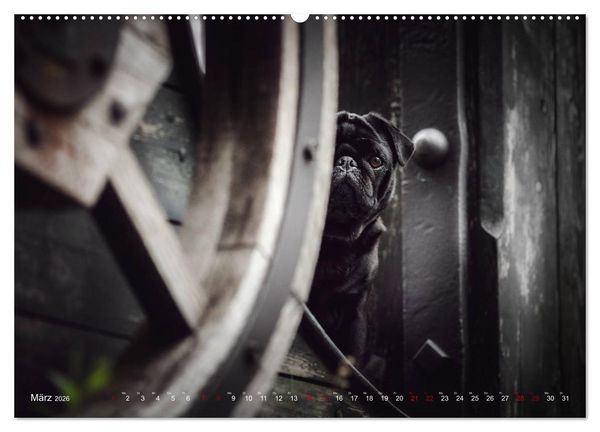 Produktbild: Diesels Welt (Wandkalender 2026 DIN A2 quer), CALVENDO Monatskalender