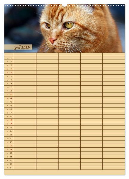 Produktbild: Tierischer Familienplaner (hochwertiger Premium Wandkalender 2026 DIN A2 hoch), Kunstdruck in Hochglanz