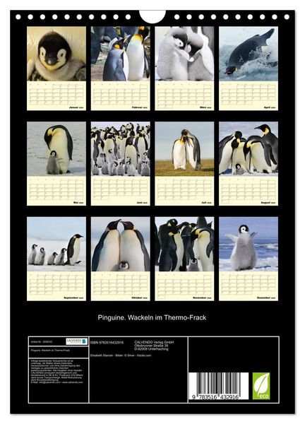 Produktbild: Pinguine. Wackeln im Thermo-Frack (Wandkalender 2026 DIN A4 hoch), CALVENDO Monatskalender