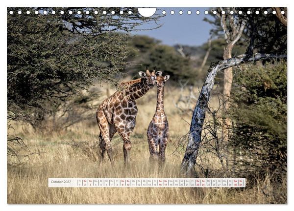 Produktbild: Namibia &ndash; Farben des Lebens (Wandkalender 2027 DIN A4 quer), CALVENDO Monatskalender