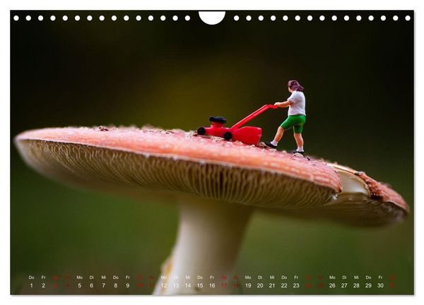 Produktbild: H&ouml;her, schneller, kleiner - Miniaturen in unserem Alltag (Wandkalender 2026 DIN A4 quer), CALVENDO Monatskalender
