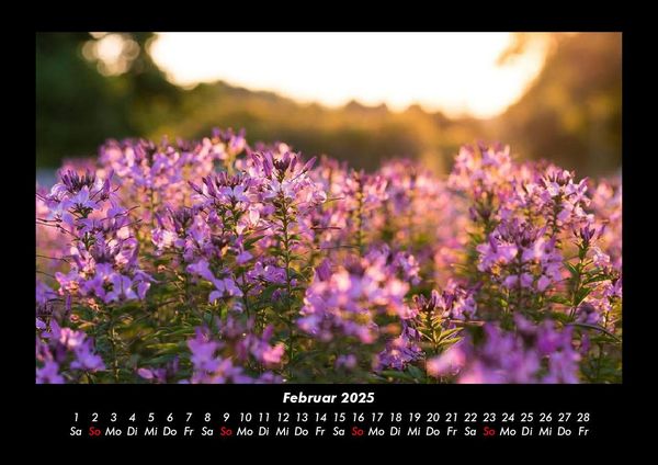 Produktbild: Blumenkalender 2025 Fotokalender DIN A3