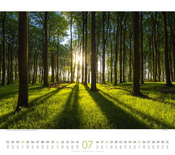 Produktbild: Wald Kalender 2027