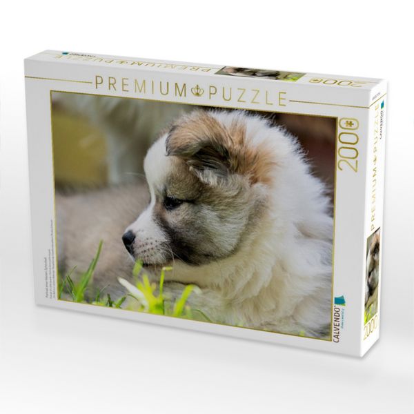 Produktbild: CALVENDO Puzzle Portrait einer kleinen Sch&ouml;nheit | 2000 Teile Lege-Gr&ouml;&szlig;e 90x67cm Foto-Puzzle f&uuml;r gl&uuml;ckliche Stunden