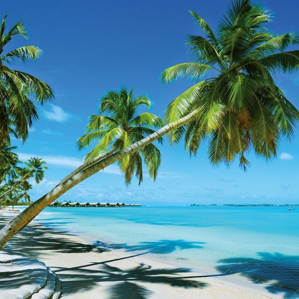 Produktbild: Strand und Meer / Beach and Sea 2027