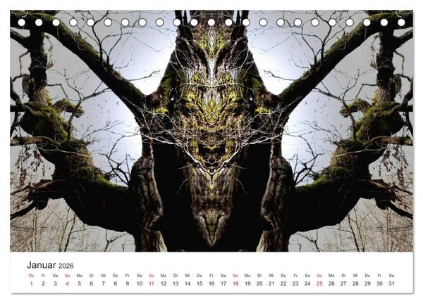 Produktbild: Spiegelwelten - Natur anders sehen (Tischkalender 2026 DIN A5 quer), CALVENDO Monatskalender