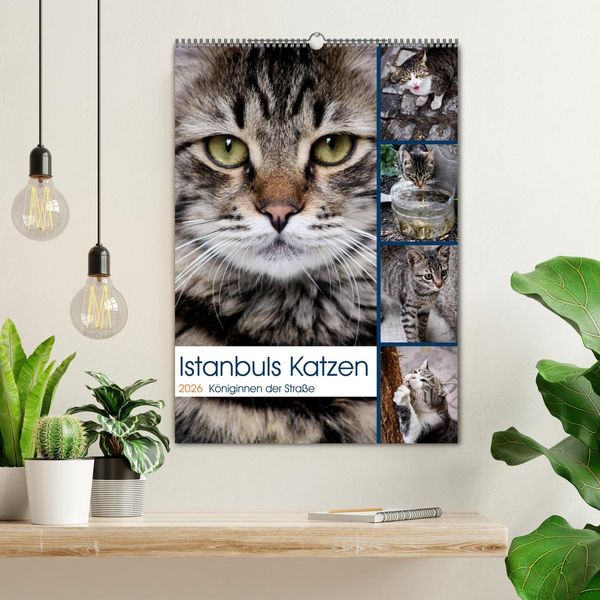 Produktbild: Istanbuls Katzen (Wandkalender 2026 DIN A2 hoch), CALVENDO Monatskalender