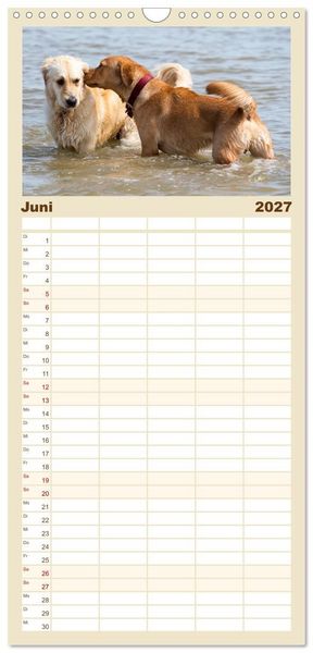 Produktbild: Familienplaner 2027 - Freunde auf vier Pfoten am Strand mit 5 Spalten (Wandkalender, 21 x 45 cm) CALVENDO