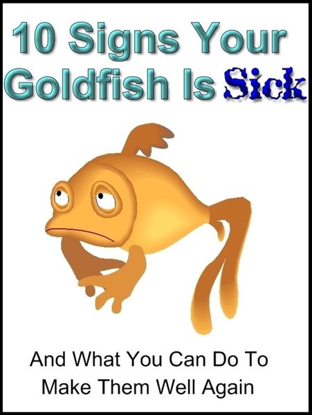 Produktbild: 10 Signs Your Goldfish Is Sick