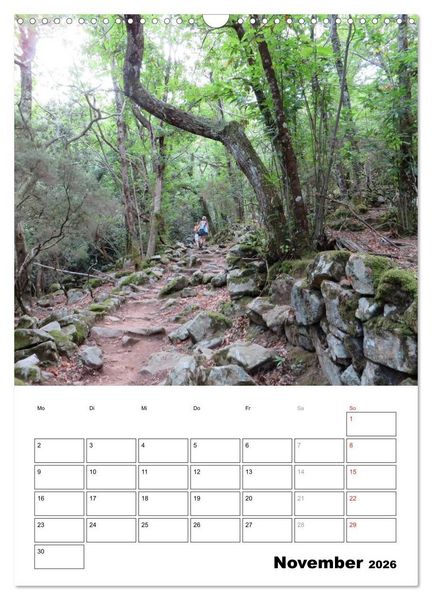 Produktbild: ELBA Trauminsel der Toskana (Wandkalender 2026 DIN A3 hoch), CALVENDO Monatskalender