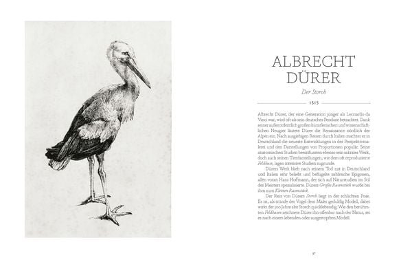 Produktbild: V&ouml;gel in der Kunst