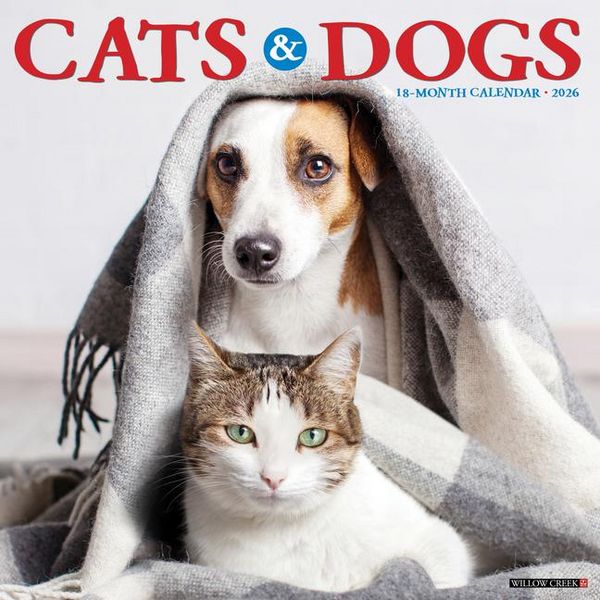 Produktbild: Cats & Dogs 2026 12 X 12 Wall Calendar